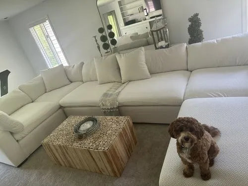 Reviewfoto toont FancySofas Classic bankhoezen met hond op de bank, kleur Snow White.